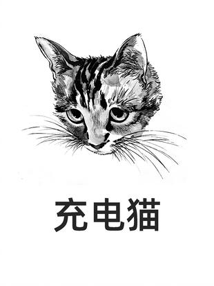 充电猫充电宝